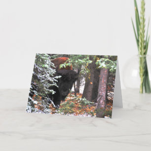 The Beauty of Chisana Karte