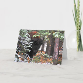 The Beauty of Chisana Karte