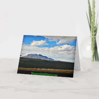 The Beauty of Chisana Karte