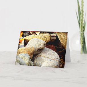 The Beauty of Chisana Karte