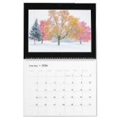 The Beauty Of Nature Monthly Calendar Kalender (Jan 2026)