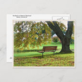 The Bench on Memorial Boulevard, Bristol CT Postkarte (Vorne/Hinten)