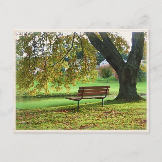 The Bench on Memorial Boulevard, Bristol CT Postkarte (Vorderseite)