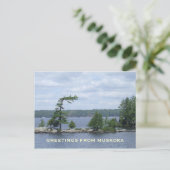 The Bent Tree, Muskoka, Ontario, Kanada Postkarte (Stehend Vorderseite)