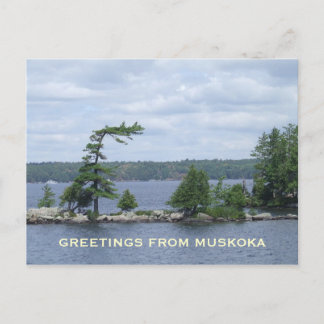 The Bent Tree, Muskoka, Ontario, Kanada Postkarte