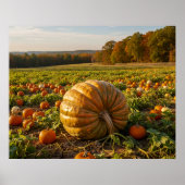 The Big One Poster (Vorne)