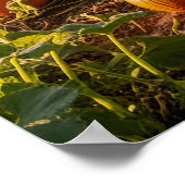 The Big One Poster (Ecke)