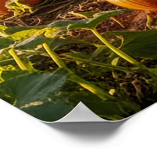 The Big One Poster (Ecke)