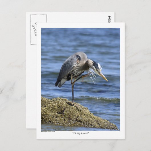 "The Big Scratch" Postkarten (Vorne/Hinten)