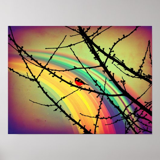 The bird and the rainbow poster (Vorne)