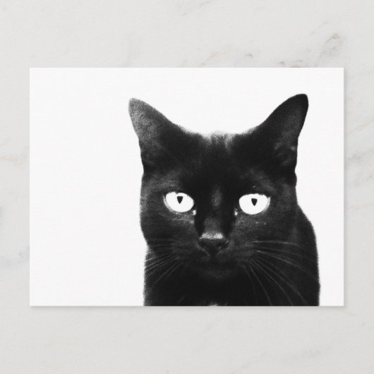 The Black Cat Postkarte (Vorderseite)