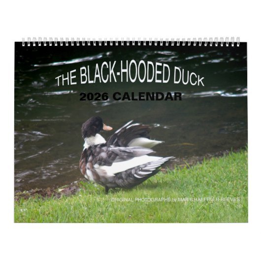 THE BLACK-HOODED DUCK 2026 CALENDAR KALENDER (Titelbild)
