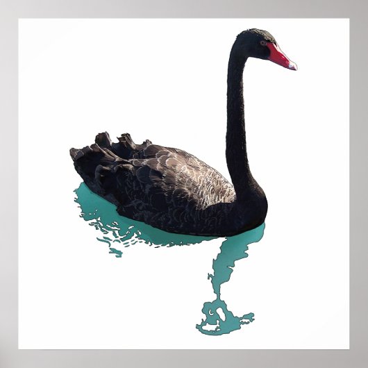 The Black Swan Poster (Vorne)