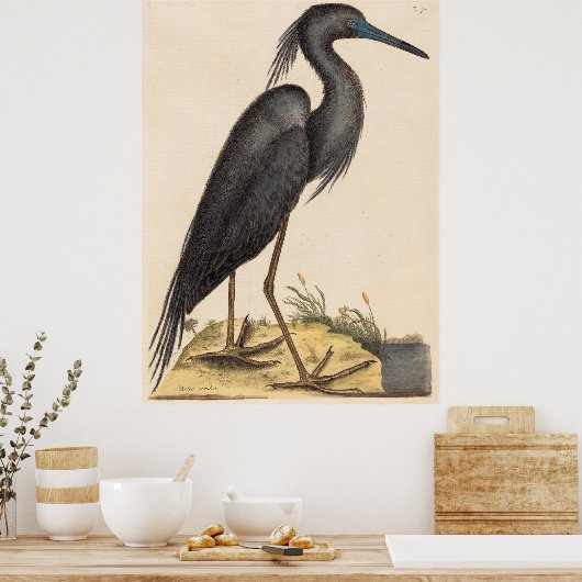 The Blue Heron (Ardea coerulea) Poster (Küche)