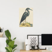 The Blue Heron Print von Mark Catesby Poster (Heimbüro)