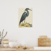 The Blue Heron Print von Mark Catesby Poster (Küche)