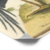 The Blue Heron Print von Mark Catesby Poster (Ecke)