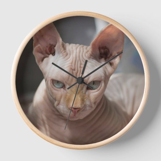 The Bold Cat – Artistic Wall Clock for Cat Lovers Uhr (Vorderseite)