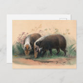 The Bosch-Vark von Joseph Wolf Postkarte (Vorne/Hinten)