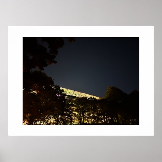 "The Bosuil Stadium by Night" - Poster (Vorne)