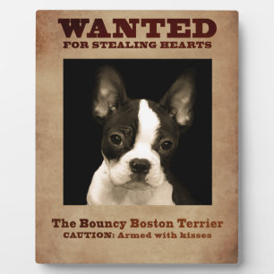 The Bouncy Boston Terrier Fotoplatte