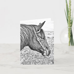 The Bridle Horse Blank Note Card Karte