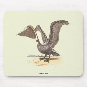 The Brown Pelican (Pelecanus occidentalis) NY Bird Mousepad