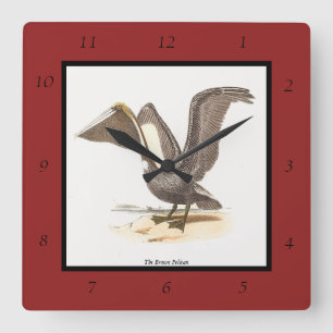 The Brown Pelican (Pelecanus occidentalis) NY Bird Quadratische Wanduhr