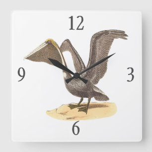The Brown Pelican (Pelecanus occidentalis) NY Bird Quadratische Wanduhr