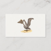 The Brown Pelican (Pelecanus occidentalis) NY Bird Visitenkarte (Rückseite)