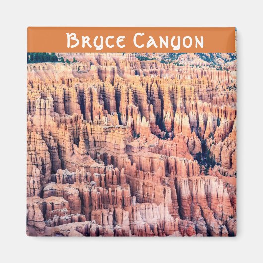The Bryce Canyon National Park - Utah, USA Magnet (Vorne)