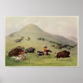The Buffalo Hunt, c.1832 Poster (Vorne)