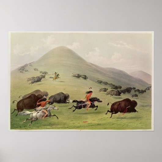 The Buffalo Hunt, c.1832 Poster (Vorne)