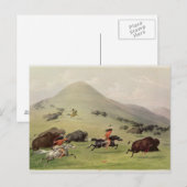 The Buffalo Hunt, c.1832 Postkarte (Vorne/Hinten)