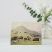 The Buffalo Hunt, c.1832 Postkarte (Stehend Vorderseite)