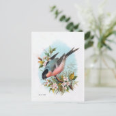 "The Bullfinch" Postkarte (Stehend Vorderseite)