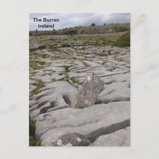The Burren, Grafschaft Clare, Irland. Postkarte (Vorderseite)