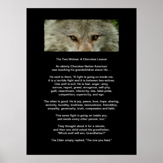 The BWO WOLVES CHEROKEE LESSON Art Poster (Vorne)