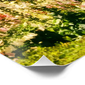 The California Tower Poster (Ecke)