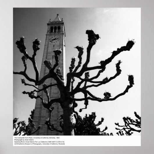 The Campanile von Plaza, UC Berkeley, 1964 Poster (Vorne)