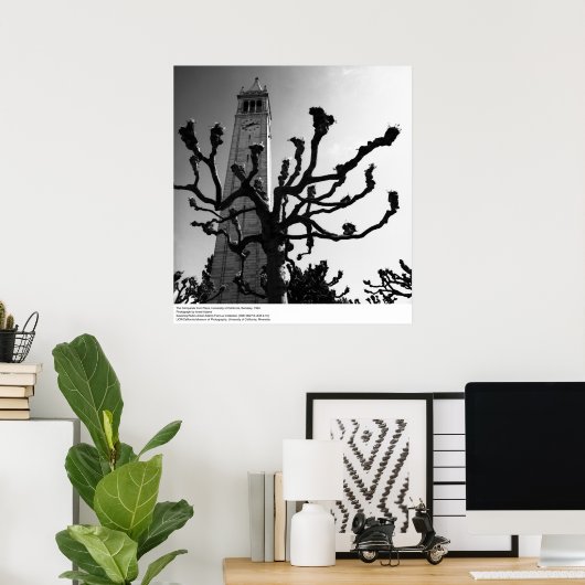 The Campanile von Plaza, UC Berkeley, 1964 Poster (Heimbüro)