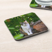 The Cat    Getränkeuntersetzer (Linke Seite)