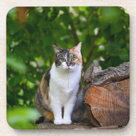 The Cat    Getränkeuntersetzer