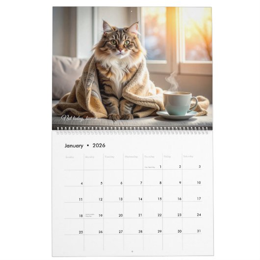 The Catwalk Chronicles - Funny Kalender (Jan 2026)