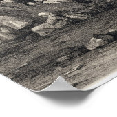 The Cedars of Lebanon, engraved by Freeman (sepia Poster (Ecke)