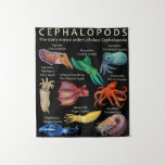 The Cephalopod Octopus Squid Cuttlefish Wandteppich<br><div class="desc">The Cephalopod Octopus Squid Cuttlefish</div>