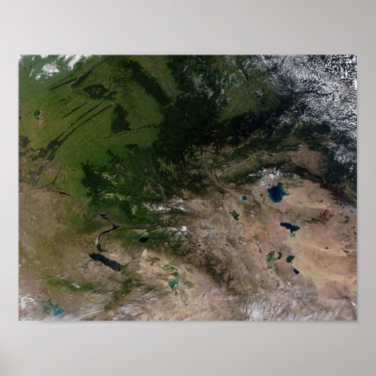 The change in vegetation poster (Vorne)