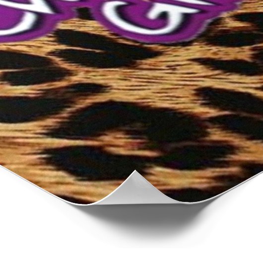 THE CHEETAH GIRLS POSTER (Ecke)