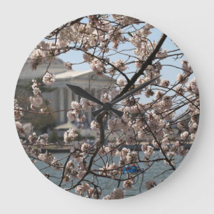 The Cherry Blossoms In Bloom In Washington DC Große Wanduhr