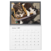 The Chronicles of Todd & Friends 2026 Calendar Kalender (Jan 2027)